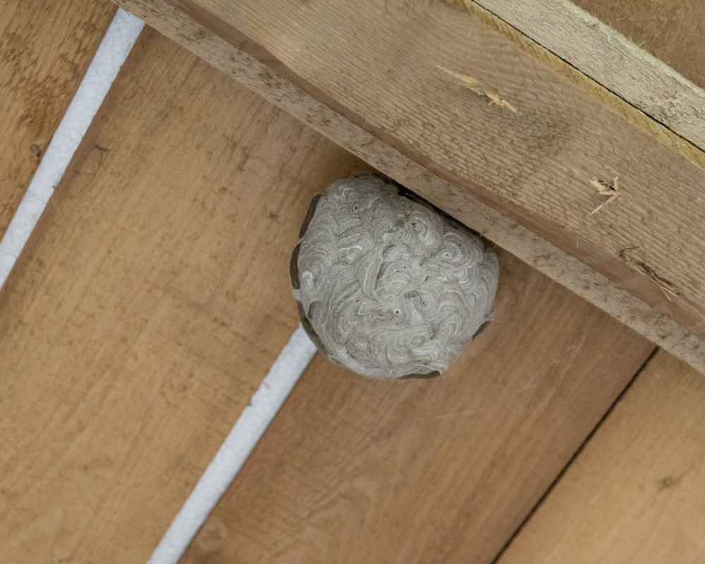 Abbruch und Entkernen