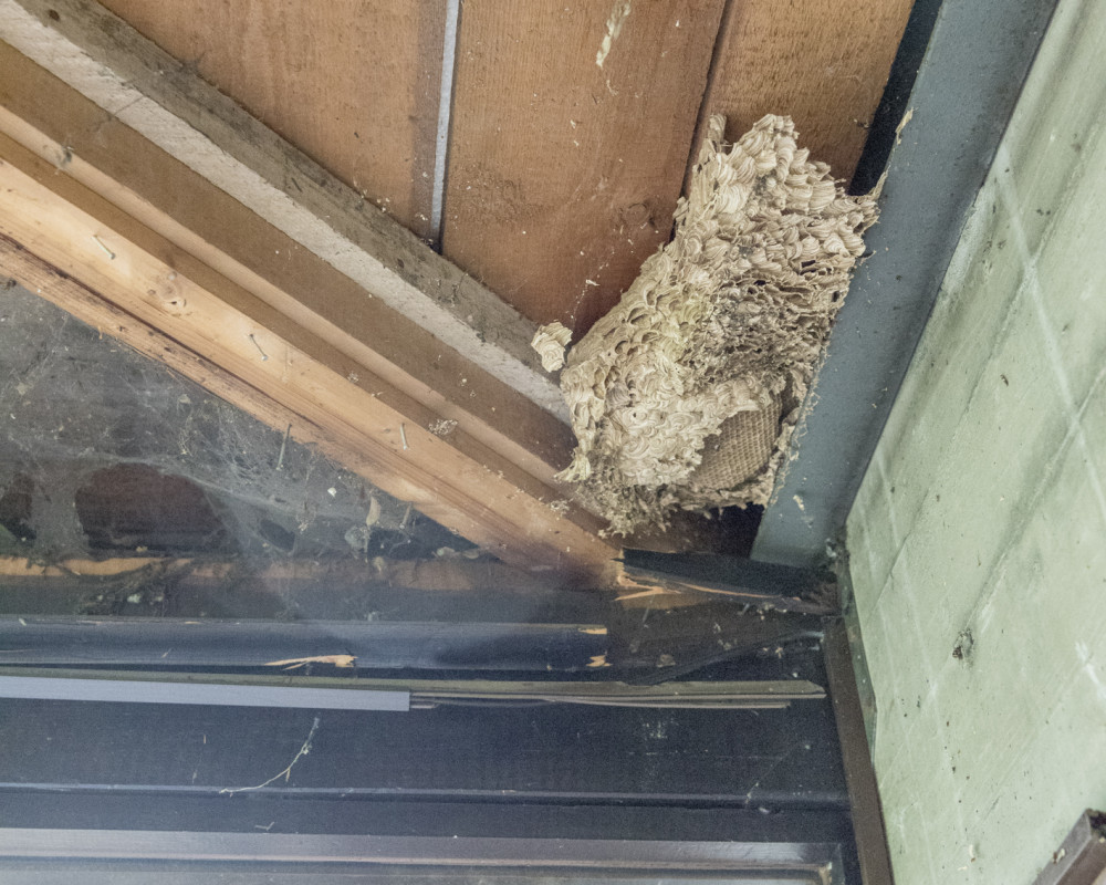 Abbruch und Entkernen