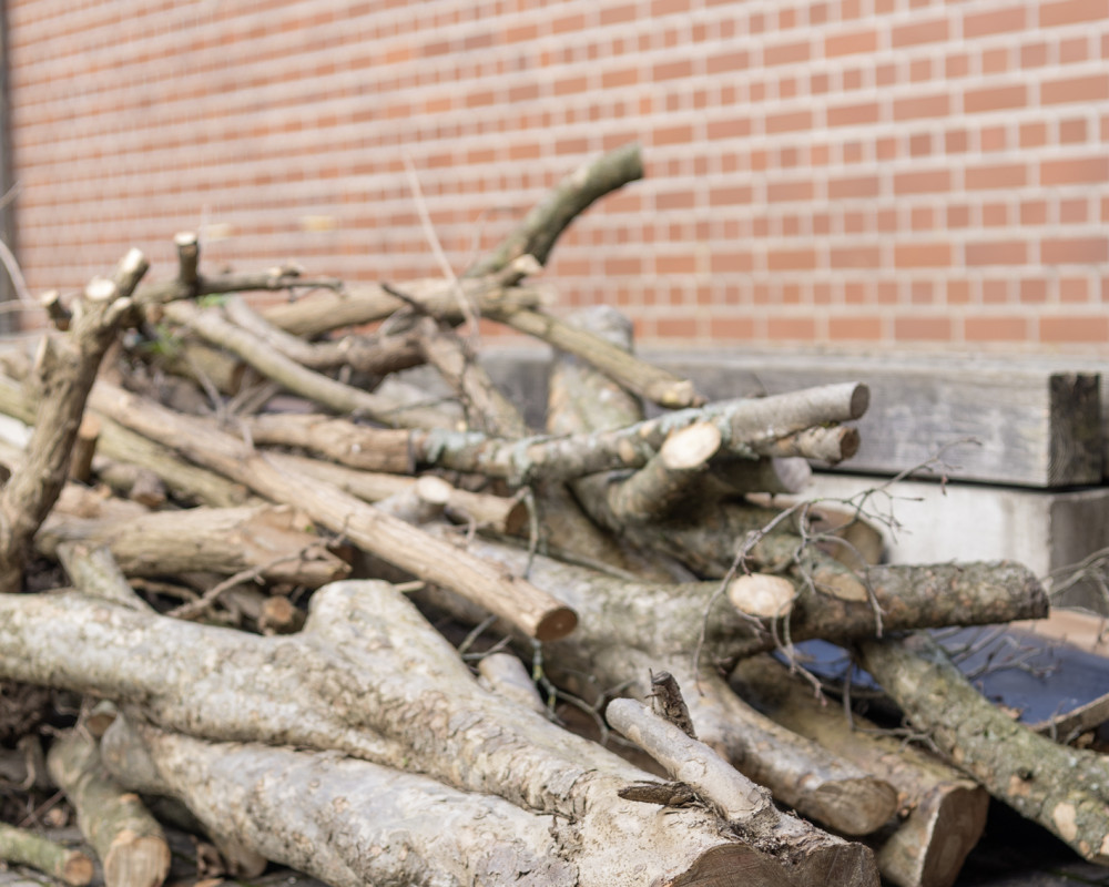 Zwischenlager Johannesplätzle