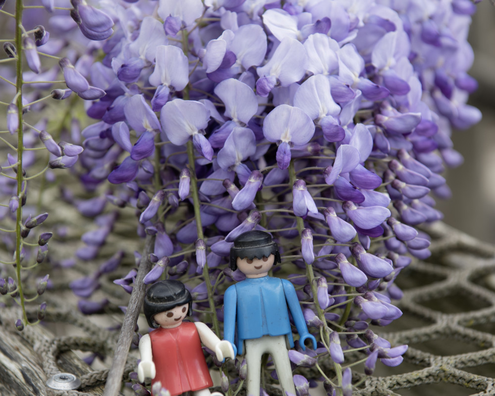 Genießen den Garten