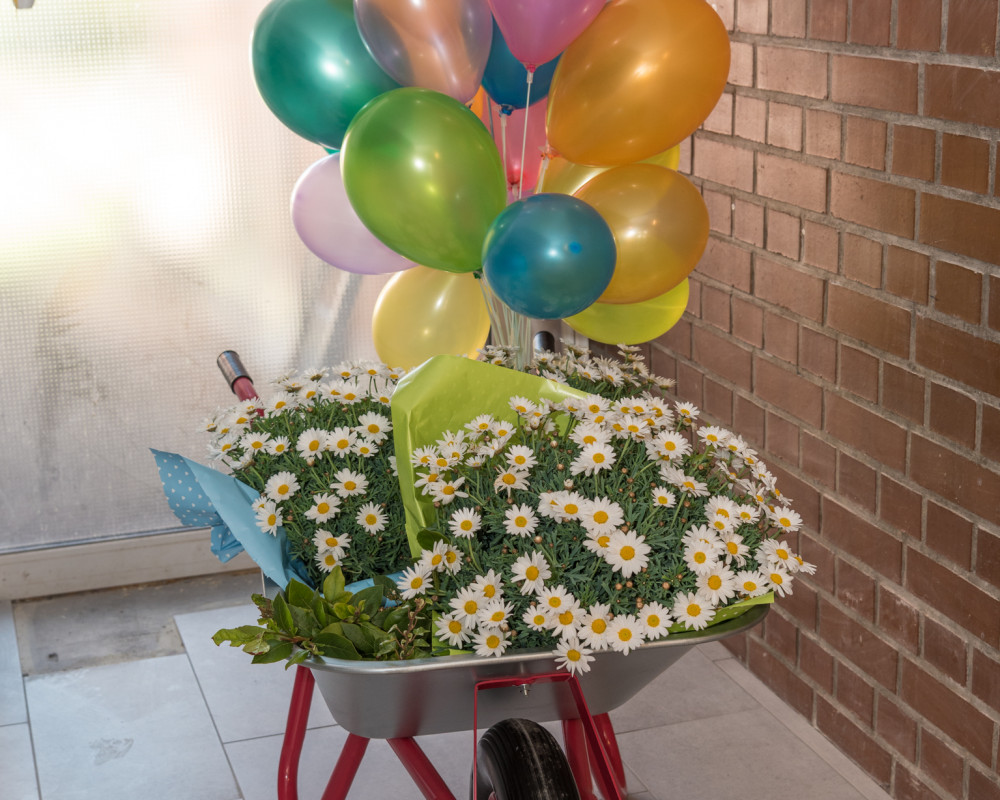 Alles frisch und luftig!!